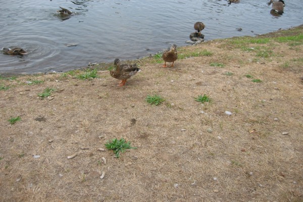 ../image/joan's reunion,nj,vermont 9,2005 052.jpg